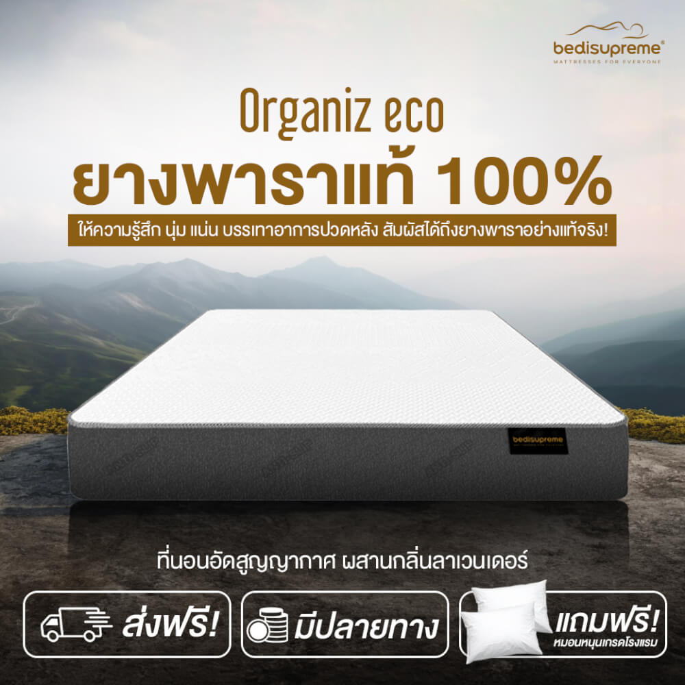 ที่นอน 5 ฟุต BEDISUPREME รุ่น ORGANIZ ECO หนา 5 นิ้ว